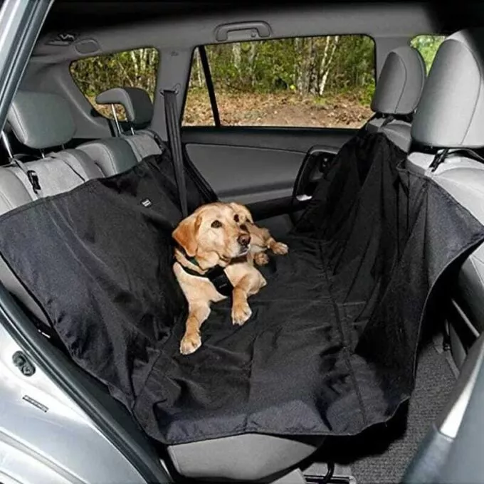 Perro viajando cómodo y seguro en el carro